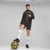 Görüntü Puma BORUSSIA Dortmund Futbol Casuals Kapüşonlu Ceket #3