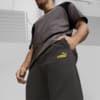 Изображение Puma Штаны Borussia Dortmund Men’s FtblCulture Track Pants #4: PUMA Black-Shadow Gray