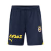 Görüntü Puma Fenerbahçe S.K. 23/24 Erkek Şort #1