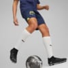 Görüntü Puma Fenerbahçe S.K. 23/24 Erkek Şort #3