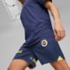 Görüntü Puma Fenerbahçe S.K. 23/24 Erkek Şort #5
