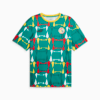 Imagen PUMA Camiseta Senegal ftblCulture para hombre #6