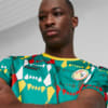 Image Puma Senegal ftblCulture Tee Men #3