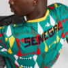 Image Puma Senegal ftblCulture Tee Men #4