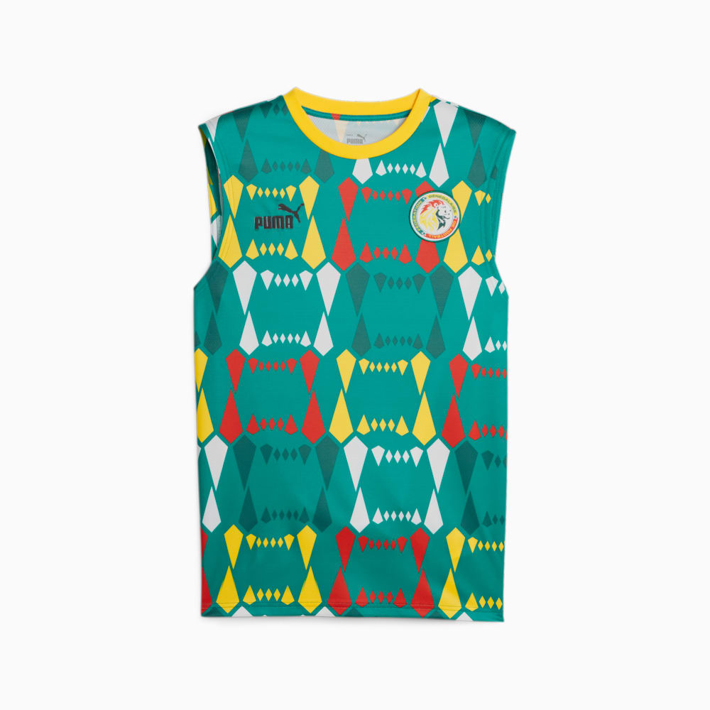 Puma senegal best sale jersey