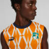 Image Puma Ivory Coast FtblCulture Men's Sleeveless Jersey #2