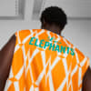 Image Puma Ivory Coast FtblCulture Men's Sleeveless Jersey #5