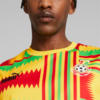 Image Puma Ghana FtblCulture Men's Sleeveless Jersey #4