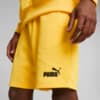 Image PUMA Shorts Gana FtblCulture Masculino #5