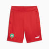 Image Puma Morocco FtblCulture Shorts Men #6