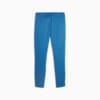 Image Puma Manchester City Football Training Sweatpants #7
