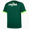 Image PUMA Camisa Palmeiras Torcedor Home Juvenil #2