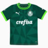 Image PUMA Mini Kit Palmeiras Torcedor Home #1