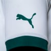Image PUMA Camisa Palmeiras Torcedor Away Juvenil #7