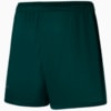 Image PUMA Shorts Palmeiras Promo Away Feminino #2