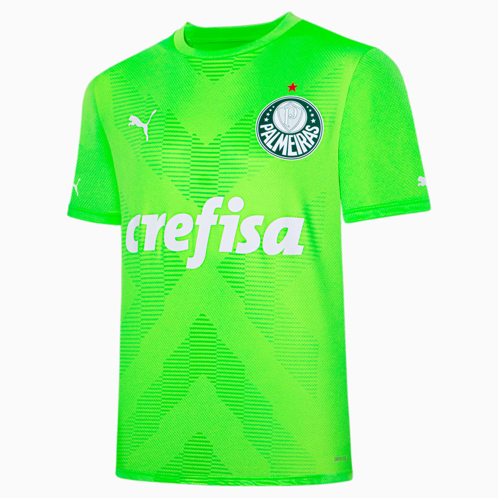 Camisa Palmeiras Torcedor Goleiro Away Verde PUMA Ref 773450 01