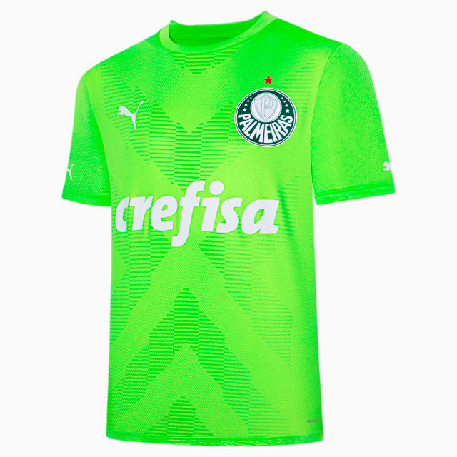 Image PUMA Camisa Palmeiras 2023 Torcedor Goleiro Away Masculina