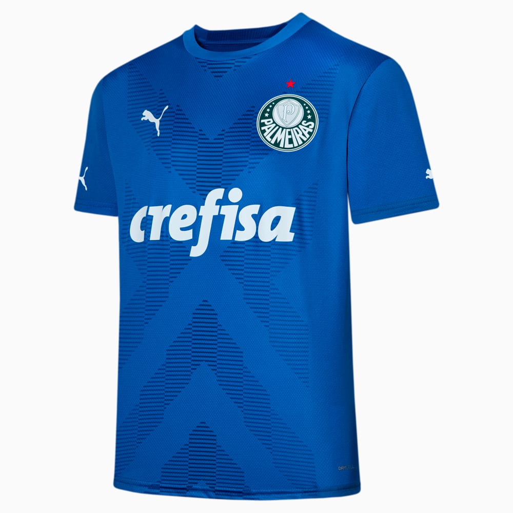 Image PUMA Camisa Palmeiras 2023 Torcedor Goleiro Home Masculina #1