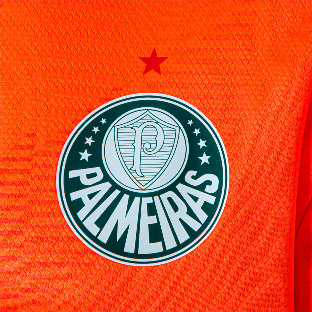 Image PUMA Camisa Palmeiras 2023 Torcedor Goleiro Third Masculina #5