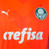 Image PUMA Camisa Palmeiras 2023 Torcedor Goleiro Third Masculina #9