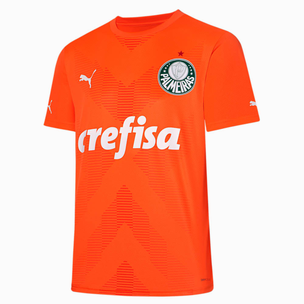 Image PUMA Camisa Palmeiras 2023 Torcedor Goleiro Third Masculina #1