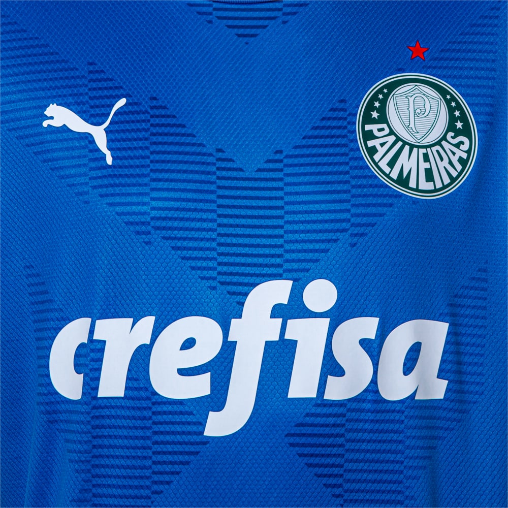 Image PUMA Camisa Palmeiras Torcedor Goleiro Home Jersey Juvenil #2