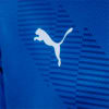 Image PUMA Camisa Palmeiras Torcedor Goleiro Home Jersey Juvenil #3