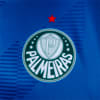 Image PUMA Camisa Palmeiras Torcedor Goleiro Home Jersey Juvenil #5