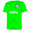 Image PUMA Camisa Palmeiras Torcedor Goleiro Away Juvenil #1