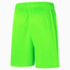 Image PUMA Shorts Palmeiras Promo Goleiro Away #2