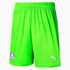 Image PUMA Shorts Palmeiras Promo Goleiro Away #1