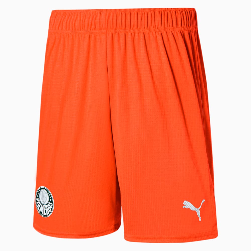 Image PUMA Shorts Palmeiras Promo Goleiro Third #1