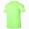 Image PUMA Camisa de Treino Palmeiras #2