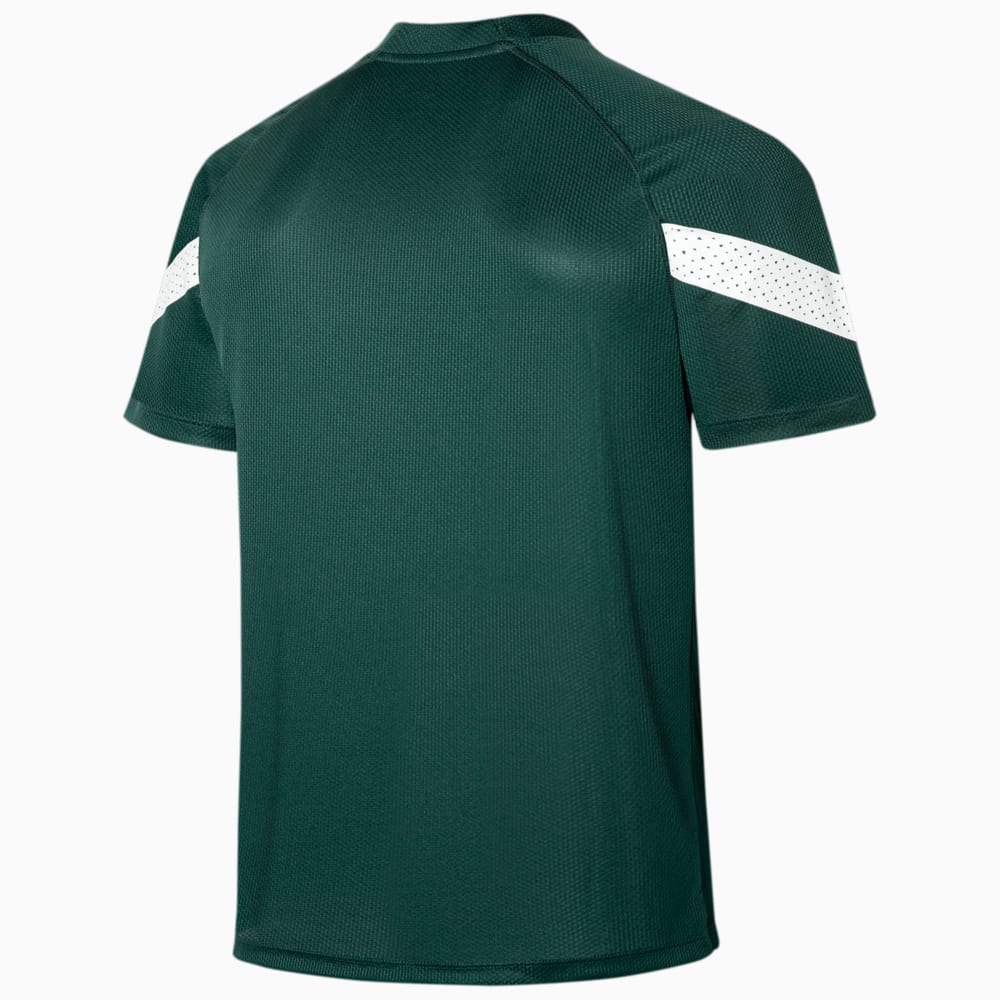 Image PUMA Camisa de Treino Palmeiras #2