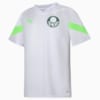 Image PUMA Camisa de Treino Palmeiras Juvenil #1