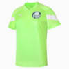 Image PUMA Camisa de Treino Palmeiras Feminina #1