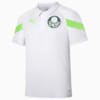 Image PUMA Camiseta Polo Palmeiras Training #1