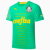 Image PUMA Camisa Palmeiras THIRD 2022 Jogador #1