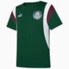 Image PUMA Camiseta Palmeiras ftblArchive Infantil #1