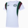 Image PUMA Camiseta Palmeiras ftblArchive Feminina #1