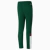 Image PUMA Calça Palmeiras ftblArchive #2