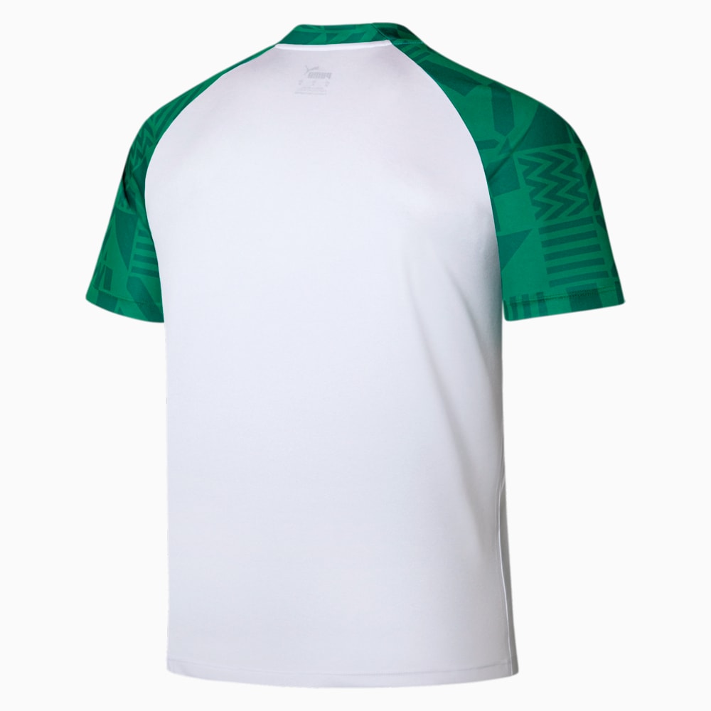 Image PUMA Camiseta Pré-Jogo Palmeiras #2