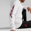 Görüntü Puma AC MILAN Ftblicons Kapüşonlu Sweatshirt #5