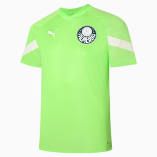 Image PUMA Camiseta de Treino Palmeiras Torcedor