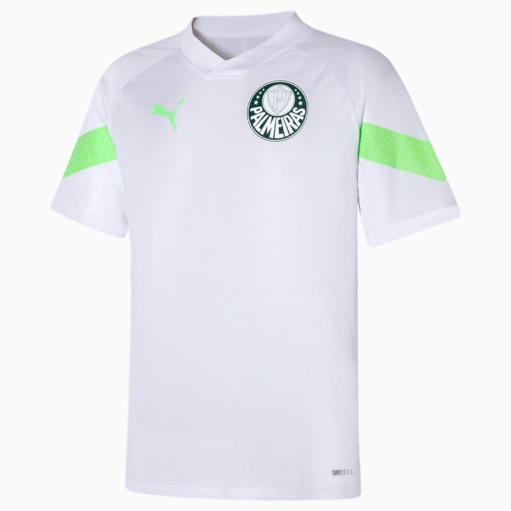 Image PUMA Camiseta de Treino Palmeiras Torcedor #1