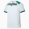 Image PUMA Camisa Palmeiras 2023 Jogador Away Masculina #2
