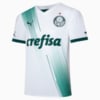 Image PUMA Camisa Palmeiras 2023 Jogador Away Masculina #1