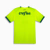 Image PUMA Camisa Palmeiras Torcedor Third #2