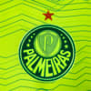 Image PUMA Camisa Palmeiras Torcedor Third #4