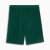 Image PUMA Shorts Palmeiras Torcedor Third #2